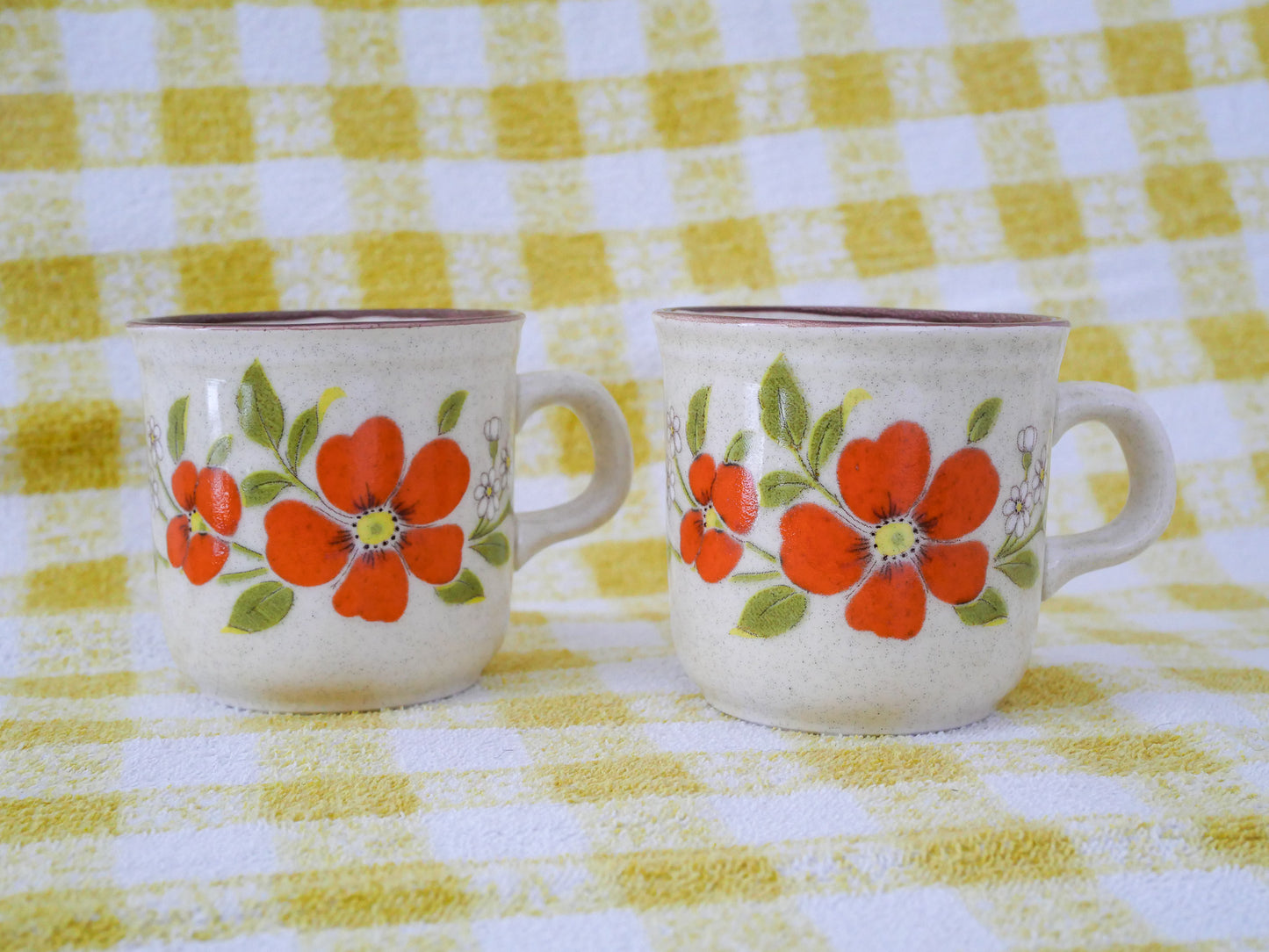 Set of 2 Vintage Flower Mugs