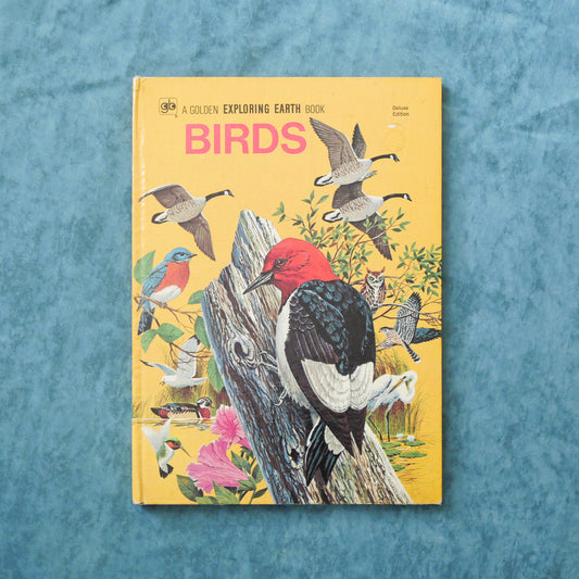BIRDS, A Golden Exploring Earth Book