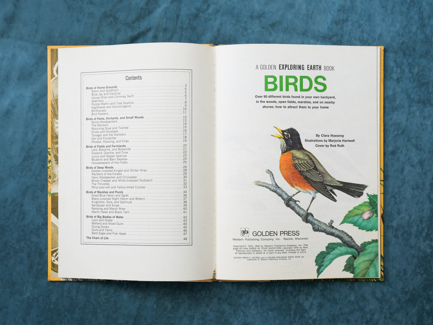 BIRDS, A Golden Exploring Earth Book