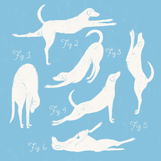 Yoga Dogs