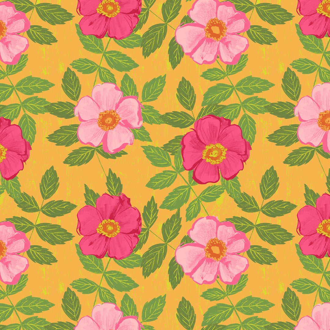 Garden Rose