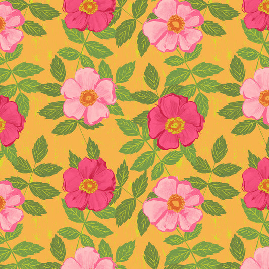 Garden Rose