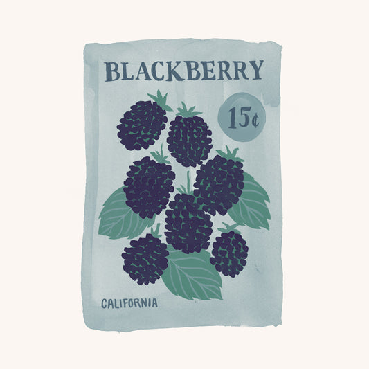 Blackberry Seeds
