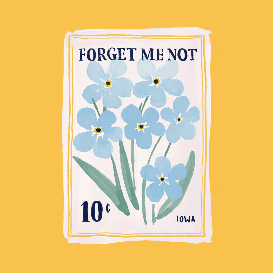 Forget Me Not Seeds