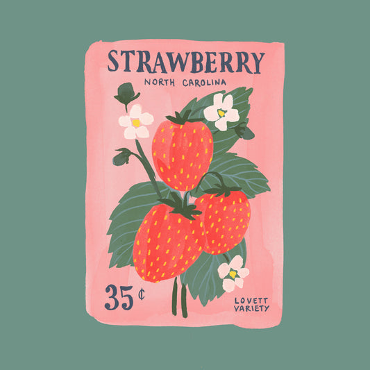 Strawberry Seeds